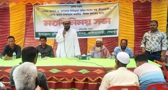 image-here